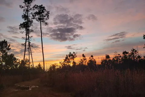 Stephen C Foster State Park