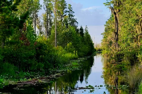 Stephen C Foster State Park