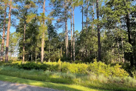Stephen C Foster State Park