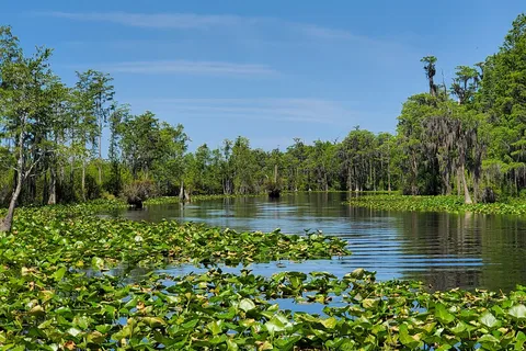 Stephen C Foster State Park