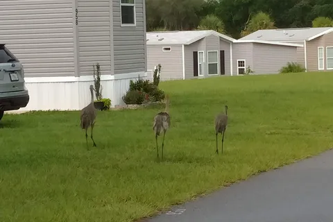 Recreation Plantation RV Resort