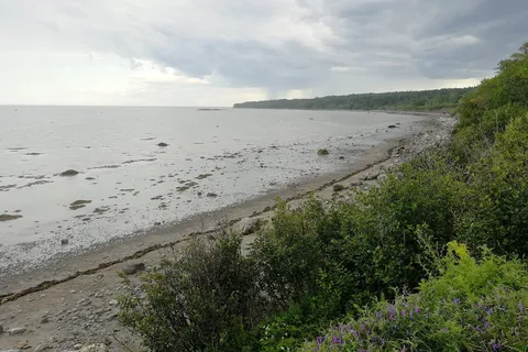 Camping Bon-Desir