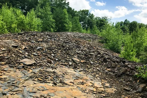 Cranberry Run Campground
