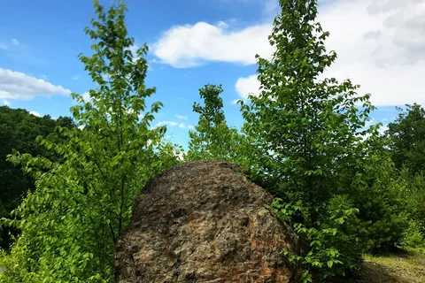 Cranberry Run Campground