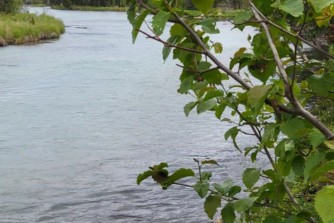 Crooked Creek State Recreation Site