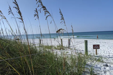 Grayton Beach State Park