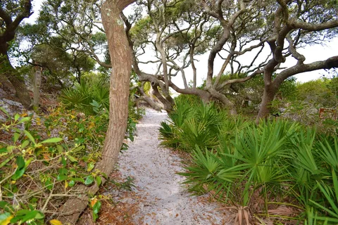 Grayton Beach State Park