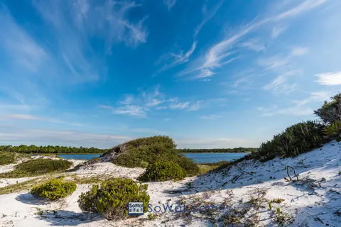 Grayton Beach State Park