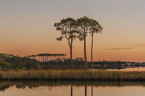 Grayton Beach State Park