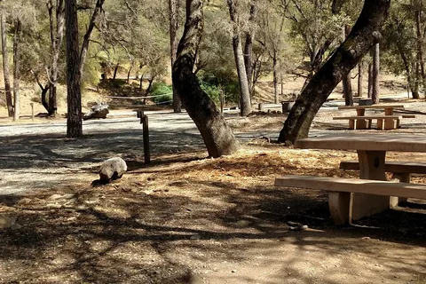 Pine Mountain Lake Campground