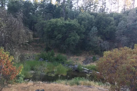Pine Mountain Lake Campground