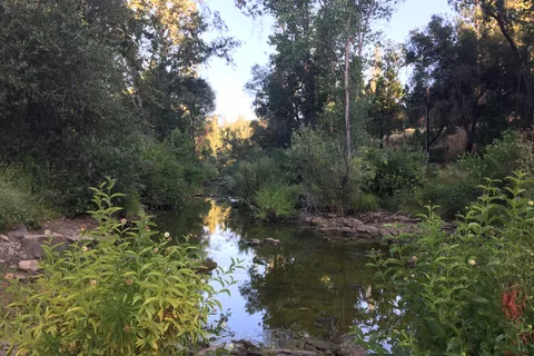 Pine Mountain Lake Campground