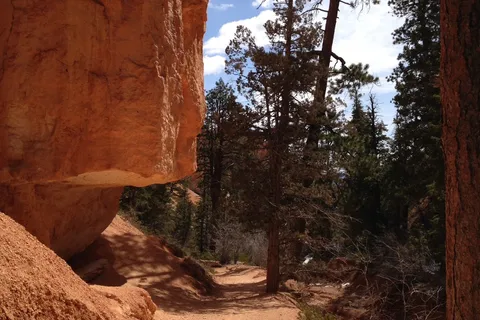 Bryce Canyon RV Resort