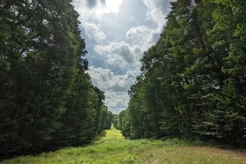 Benner's Meadow Run Camping and Cabins