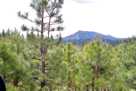 Crocker Springs RV Park