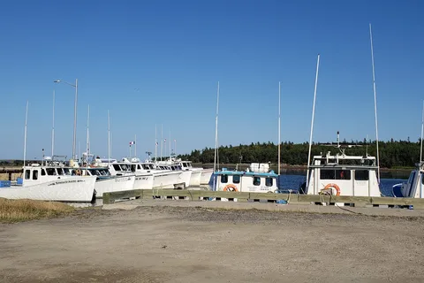 Cote A Fabien Campground - Kouchibouguac National Park