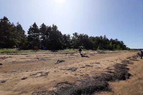 Cote A Fabien Campground - Kouchibouguac National Park