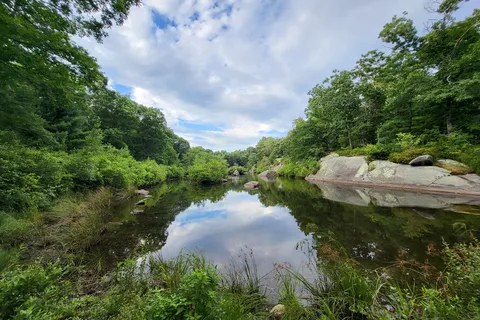 Dyer Woods Nudist Campgrounds