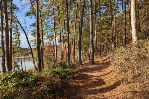 Mountainview - Daingerfield State Park
