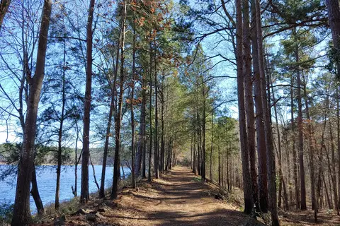 Mountainview - Daingerfield State Park
