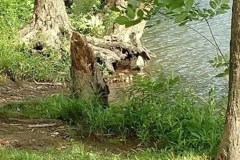 Berry's Campground