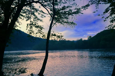 Berry's Campground