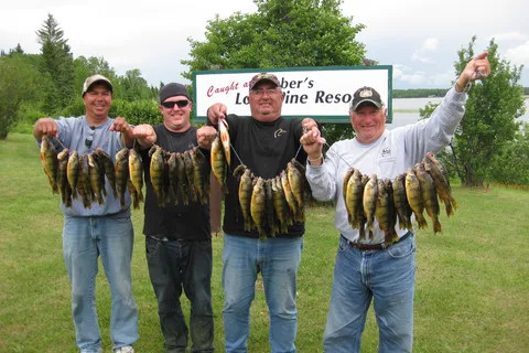 Hubers Lone Pine Lodge Ltd