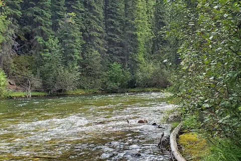 Big Creek Campground