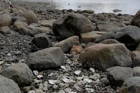 Okeover Arm Provincial Park