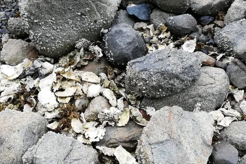 Okeover Arm Provincial Park