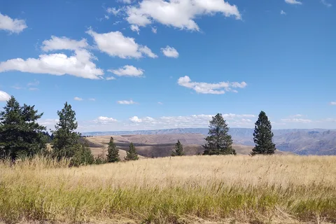 Fields Spring State Park