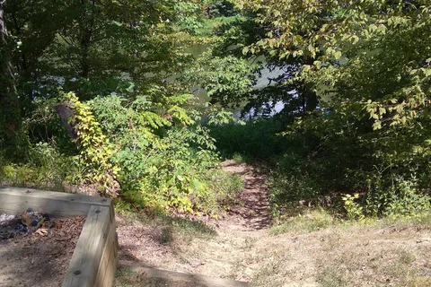 Lone Pine - Mississippi River State Park