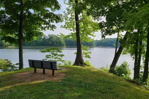 Lone Pine - Mississippi River State Park