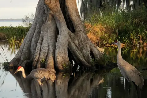 Mossy Cove Fishing Resort