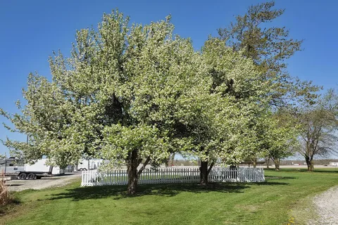 Kamper Kompanion RV Park