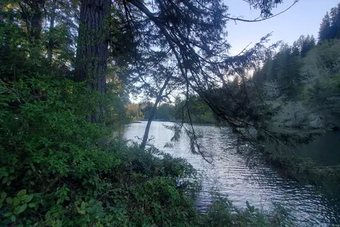 Lake Sylvia State Park