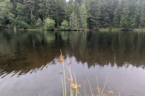 Lake Sylvia State Park