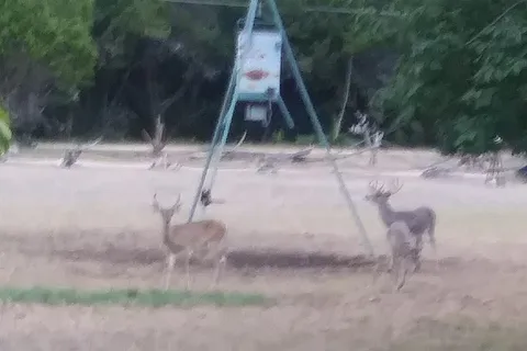 Priddy Meadow RV Park
