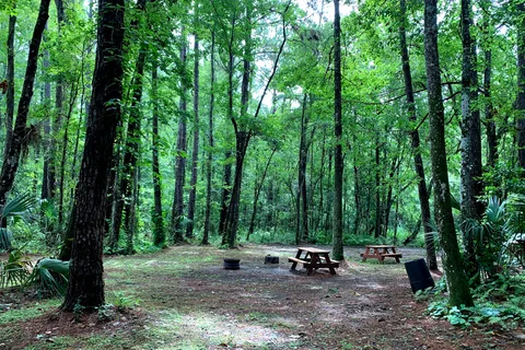 Oklawaha RV Park and Canoe Outpost
