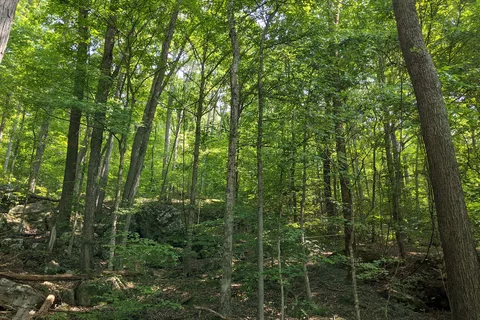 Nolin Lake State Park