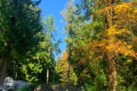 Living Forest Oceanside Campground and RV Park