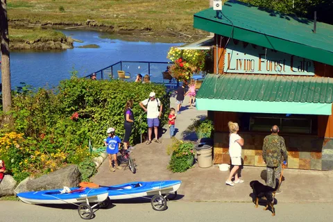 Living Forest Oceanside Campground and RV Park