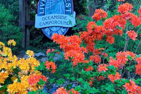 Living Forest Oceanside Campground and RV Park