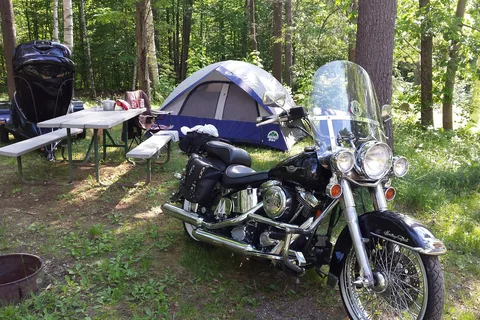 Pine Hollow Park