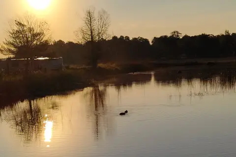 Loons Point RV Park and Campground