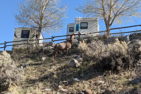 Yellowstone RV Park