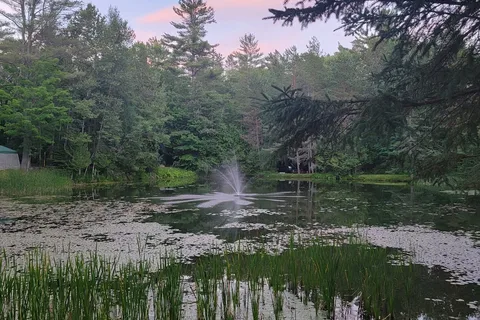 Newcomb Cafe and Campground