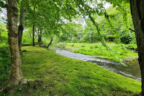 Martin Stream Campsites