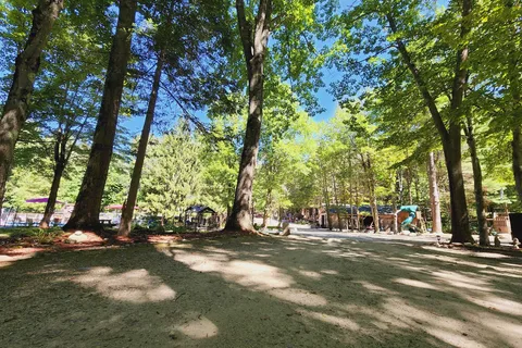 Martin Stream Campsites