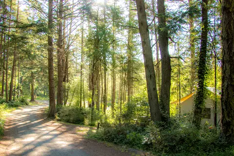 Lakedale Resort
